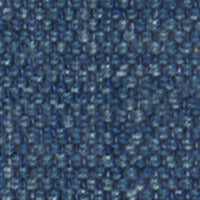 Juneberry Bilberry
